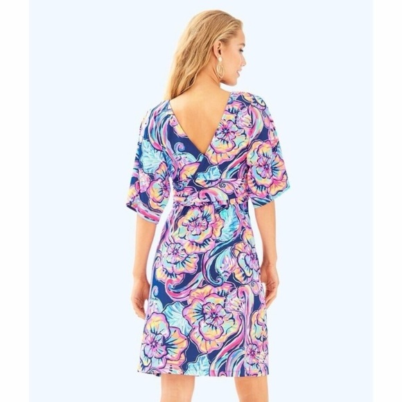 Lilly Pulitzer Parigi dress in Nauti Navy Boho Bateau print, size Large - Picture 3 of 11